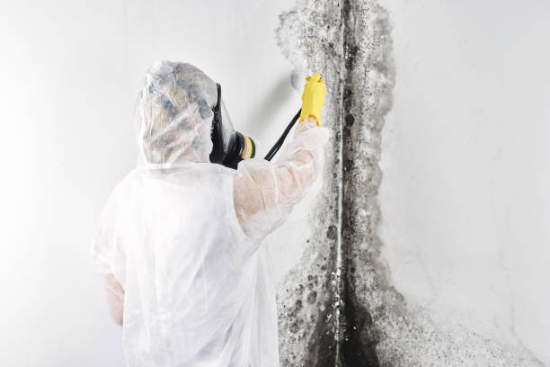 Water damage restoration process in Fairview, NJ